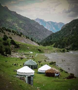 Фото Отели типа «постель и завтрак» Guest House Jakyp г. Kodzhokëlʼ